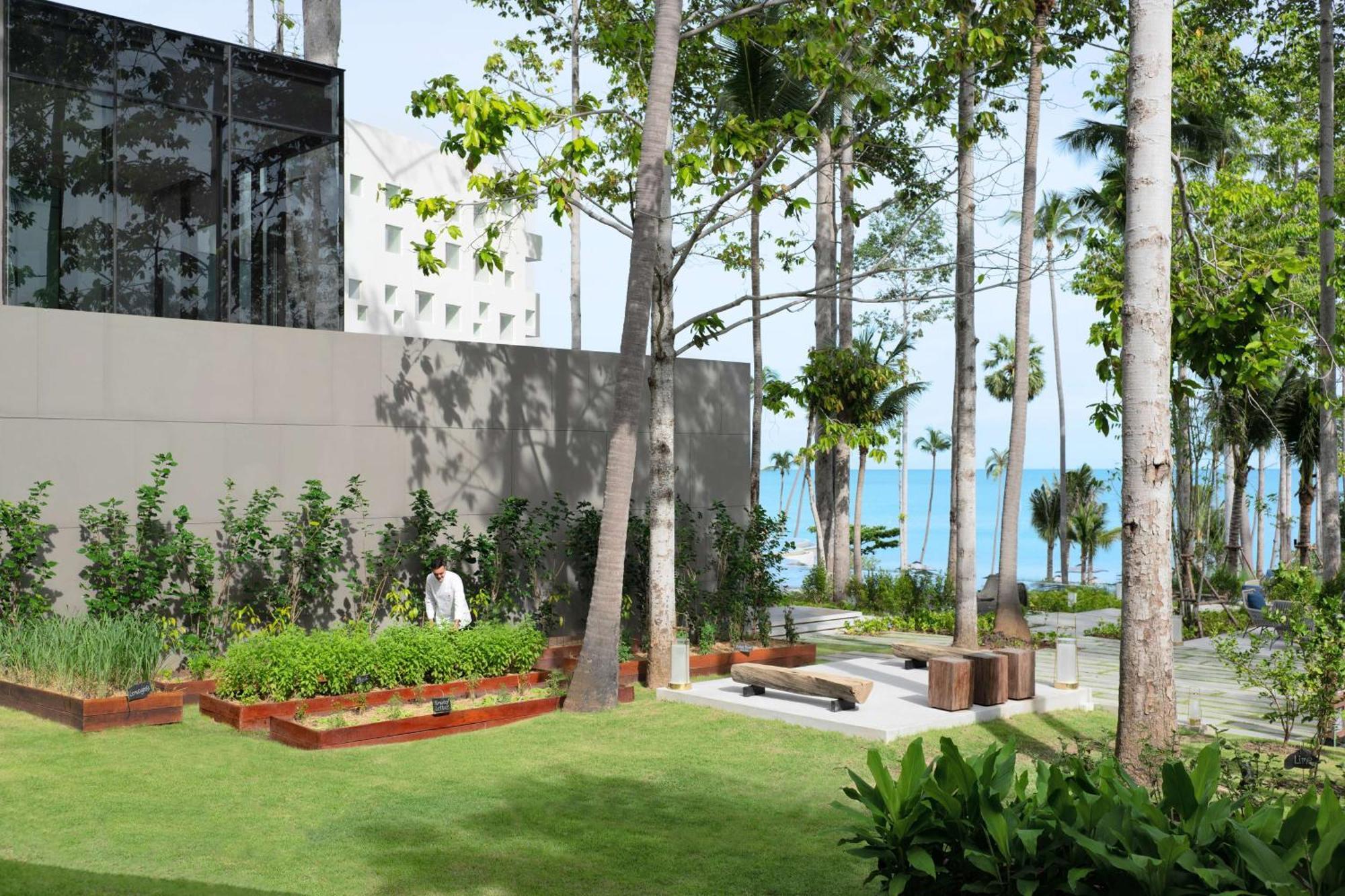 Hotel Hyatt Regency Koh Samui Chaweng  Exteriér fotografie The Gardens